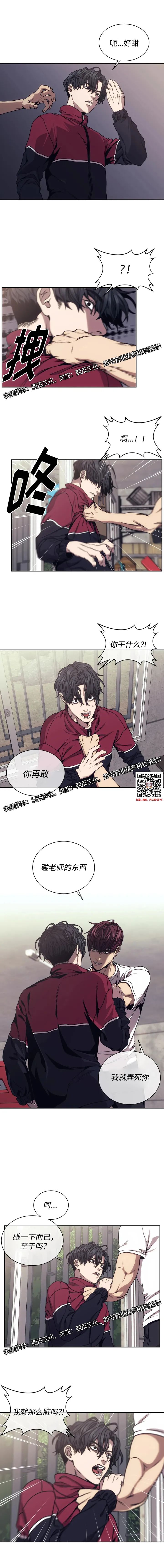 章节图片