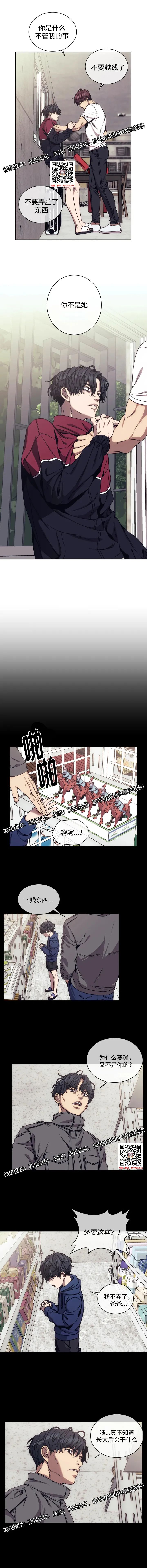 章节图片