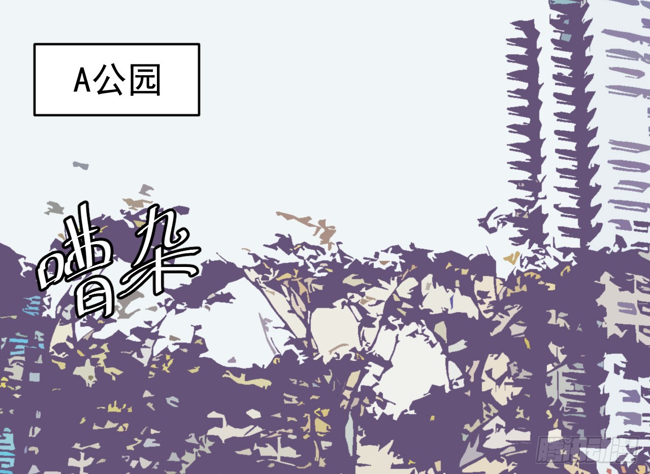 章节图片