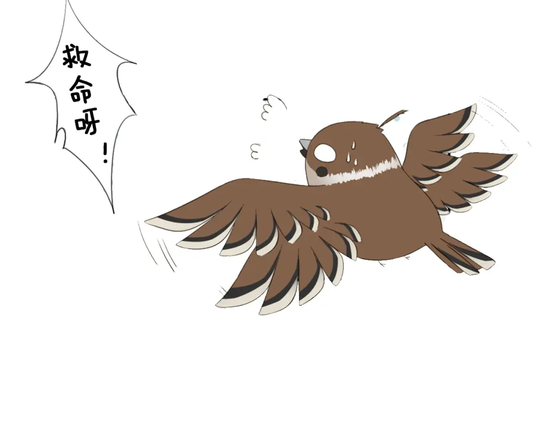 章节图片