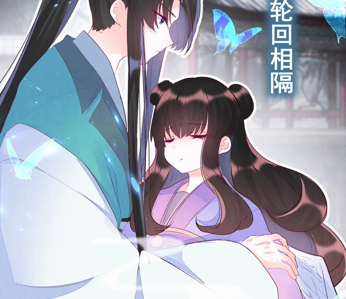 章节图片