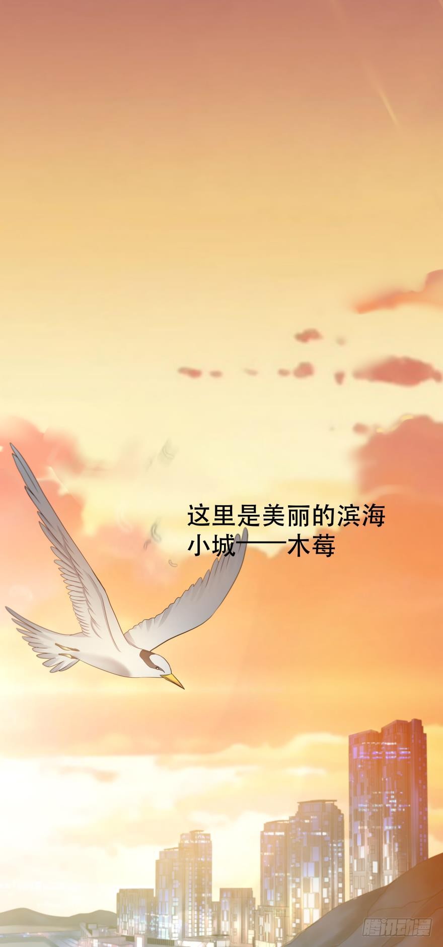 章节图片