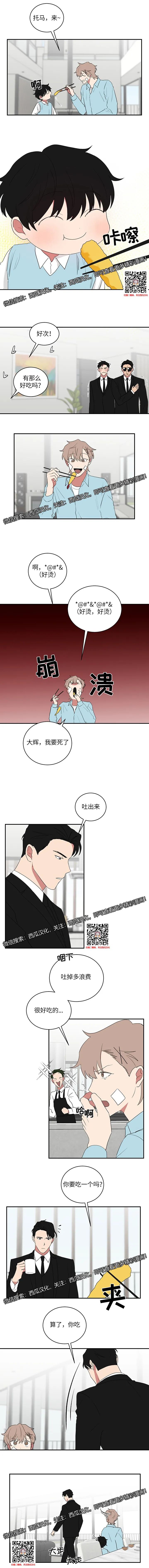 章节图片