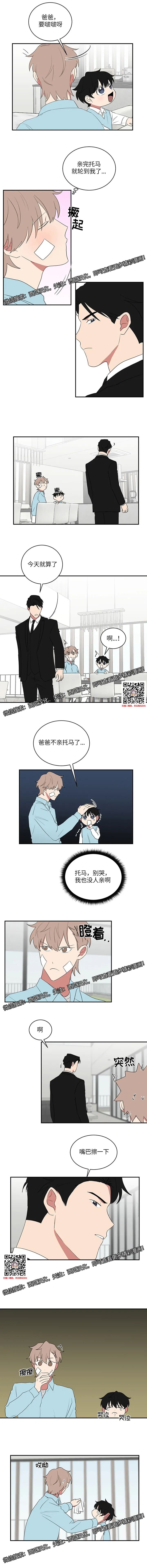 章节图片
