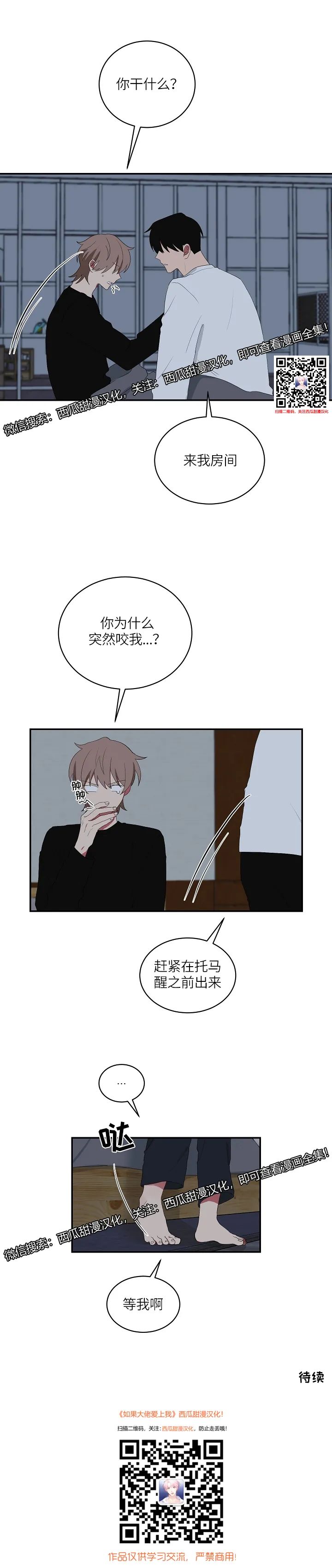 章节图片