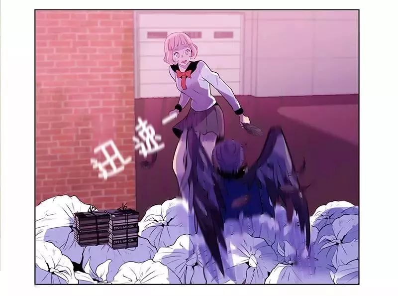 章节图片
