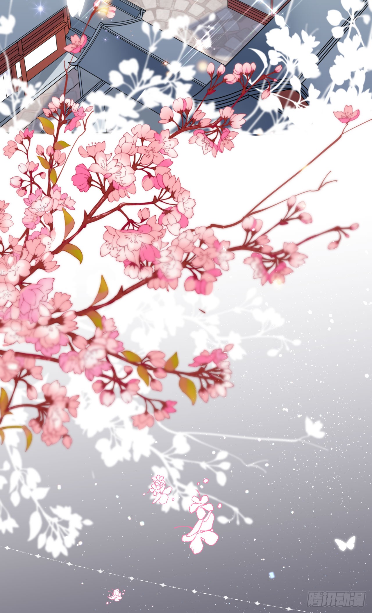 章节图片