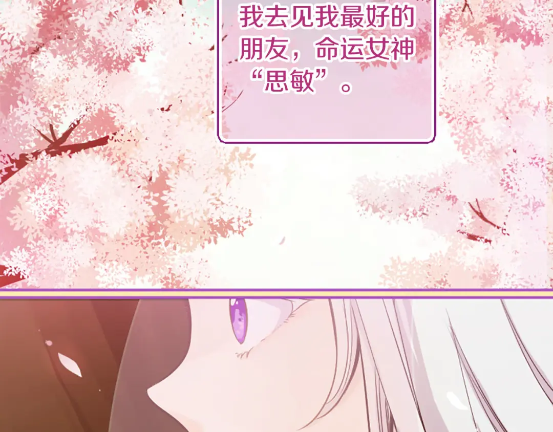 章节图片