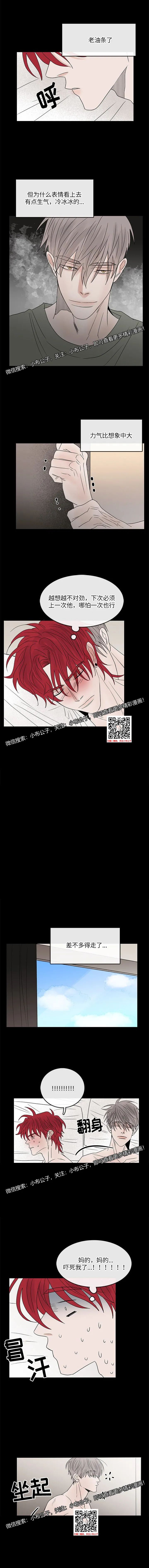 章节图片