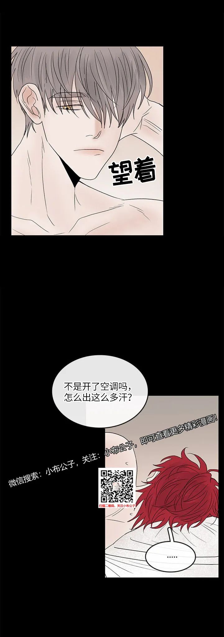 章节图片
