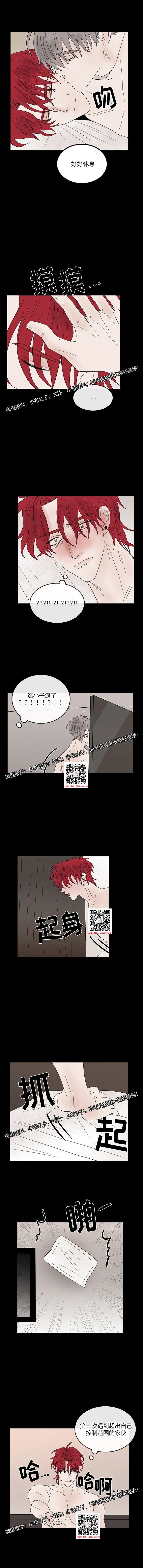 章节图片