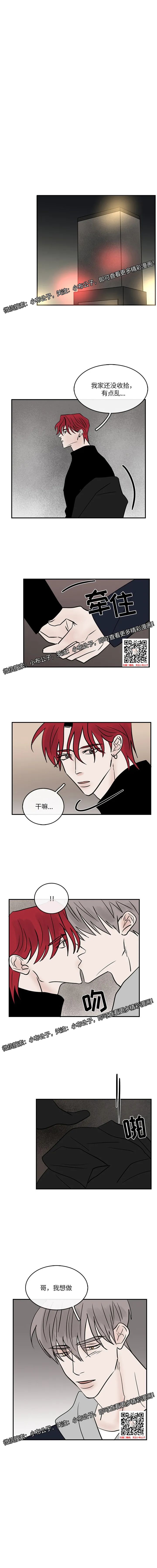 章节图片