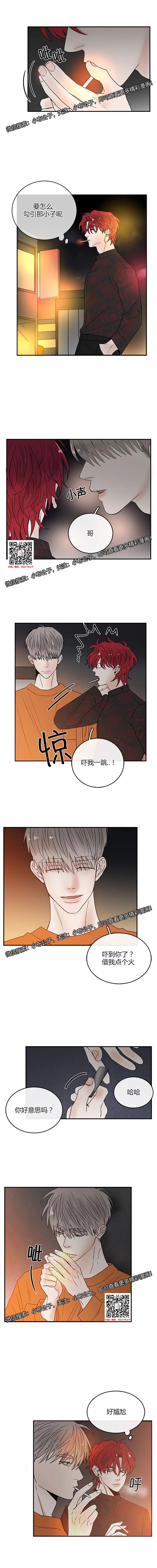 章节图片