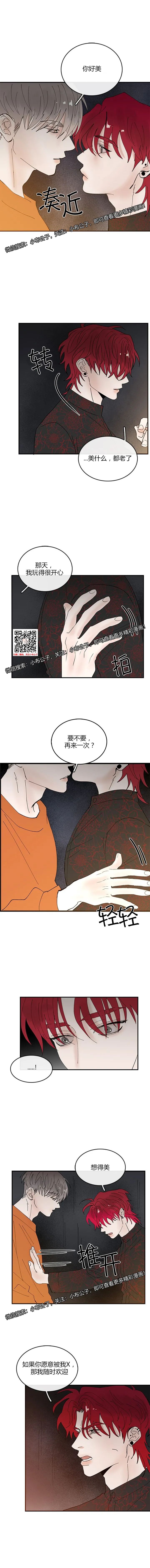 章节图片