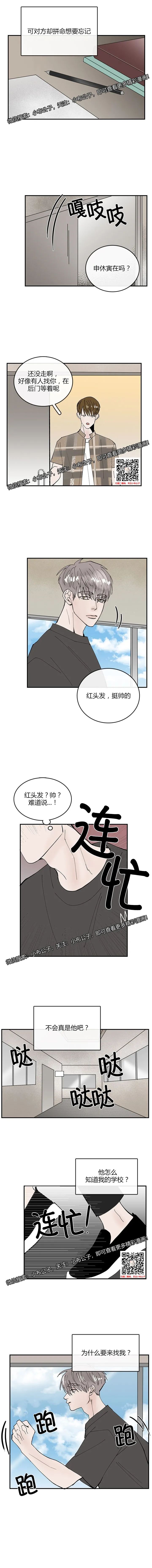 章节图片