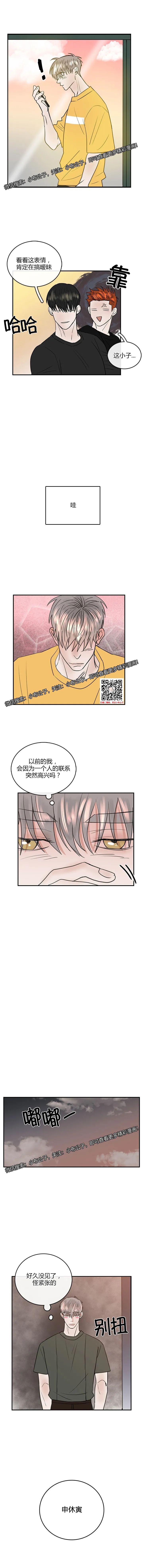 章节图片