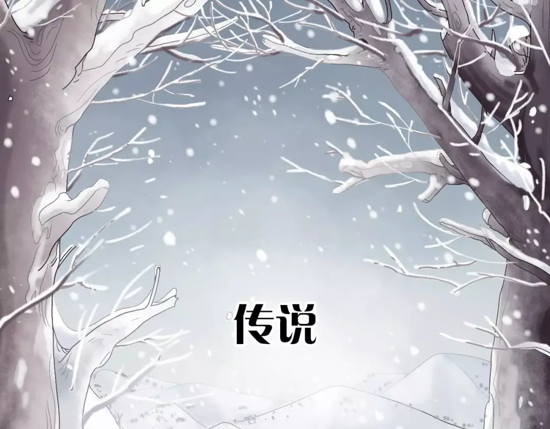 章节图片