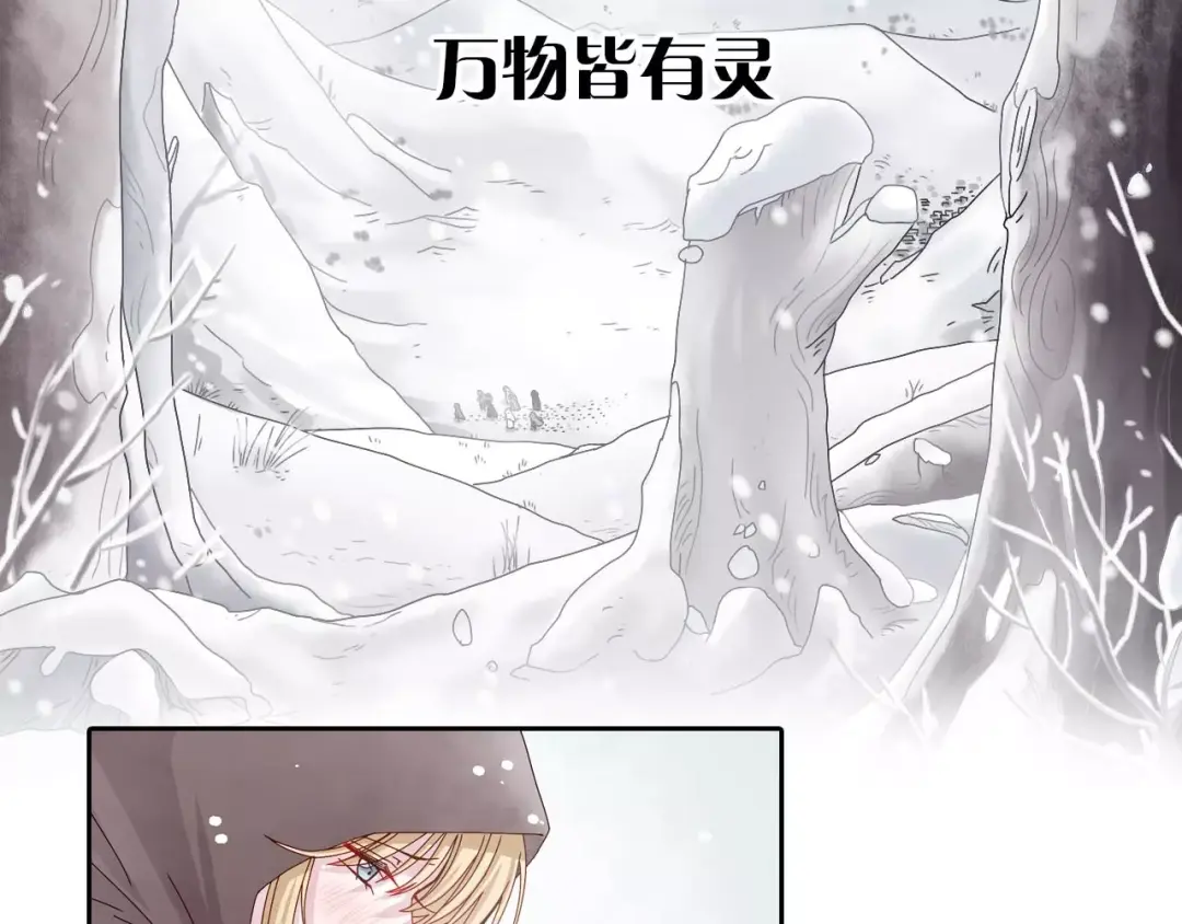 章节图片