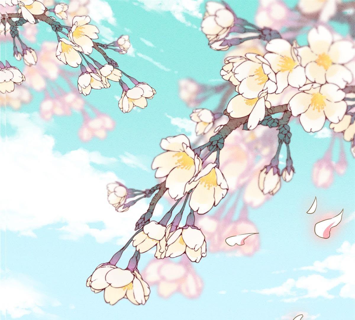 章节图片