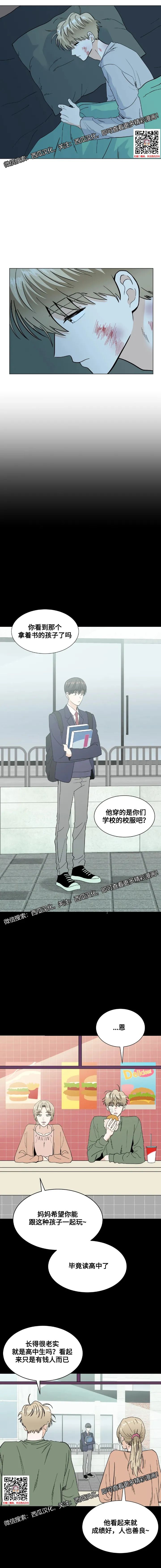 章节图片