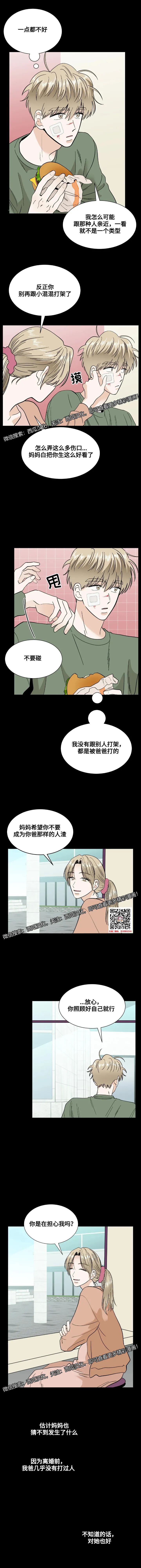 章节图片