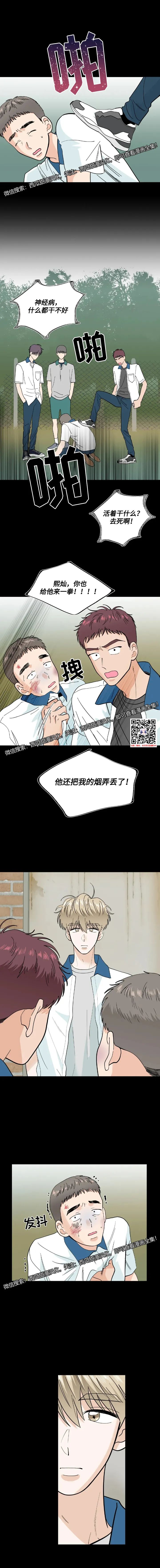 章节图片