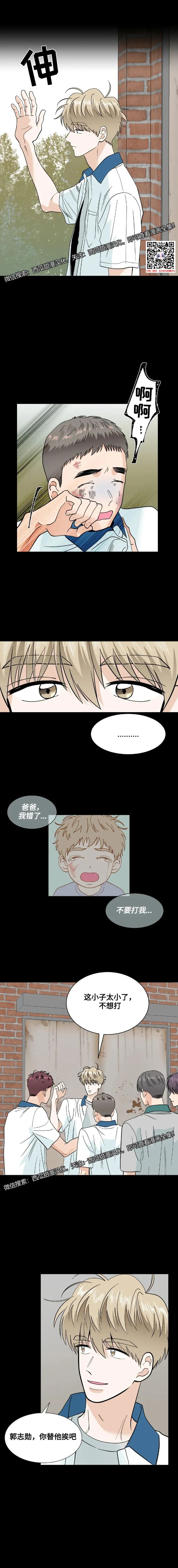 章节图片