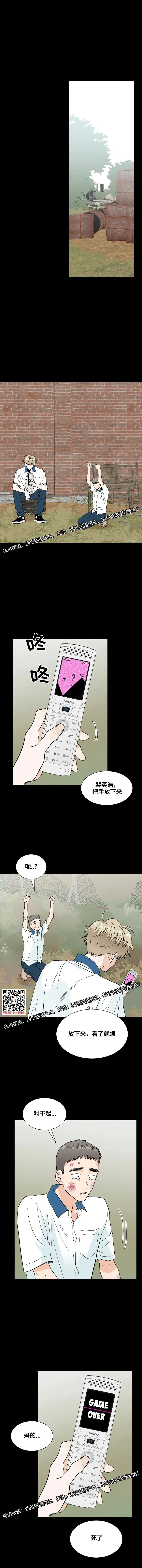 章节图片