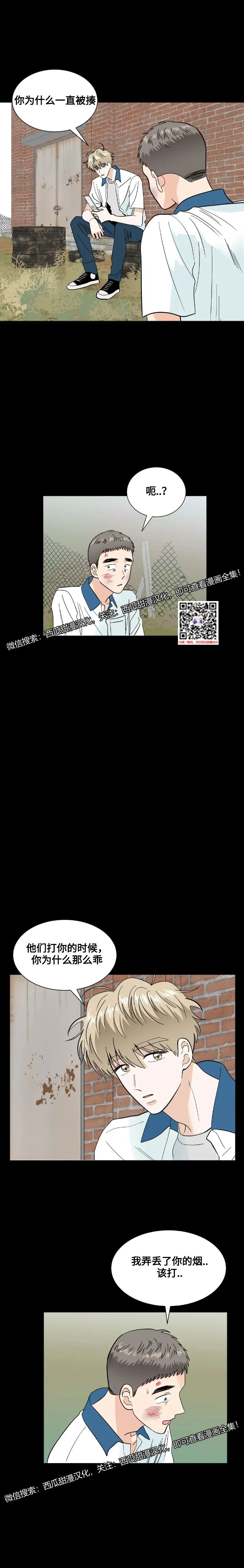 章节图片