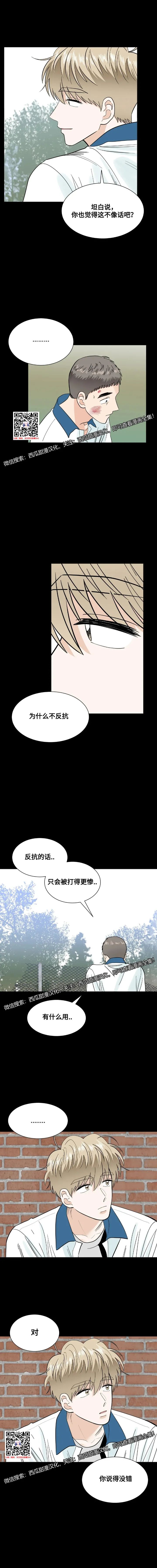 章节图片
