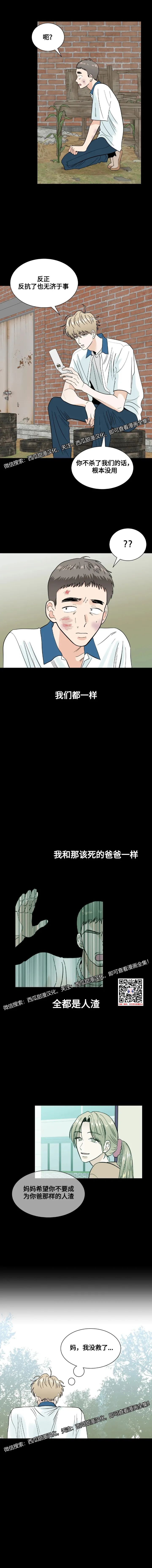 章节图片