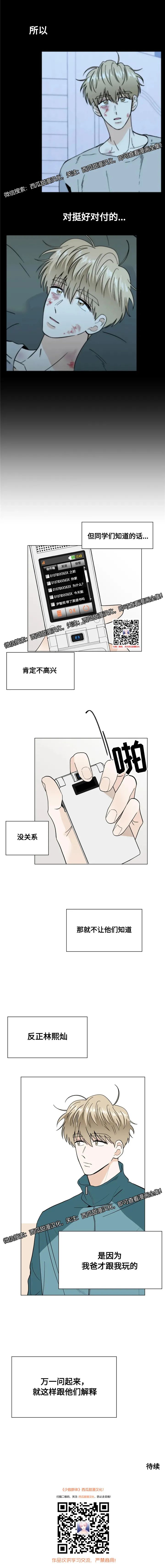 章节图片