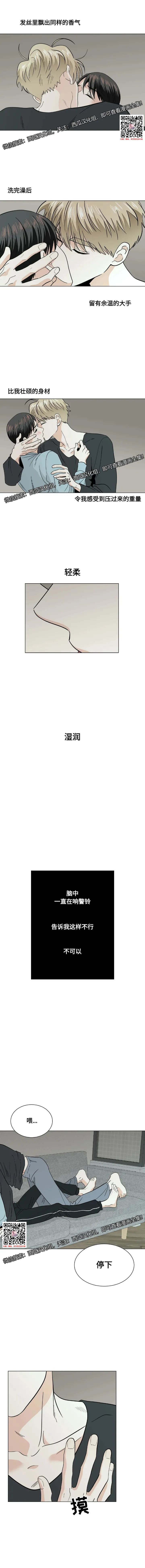 章节图片