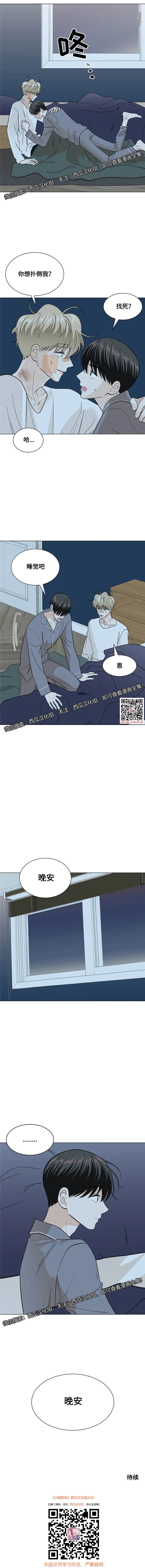 章节图片