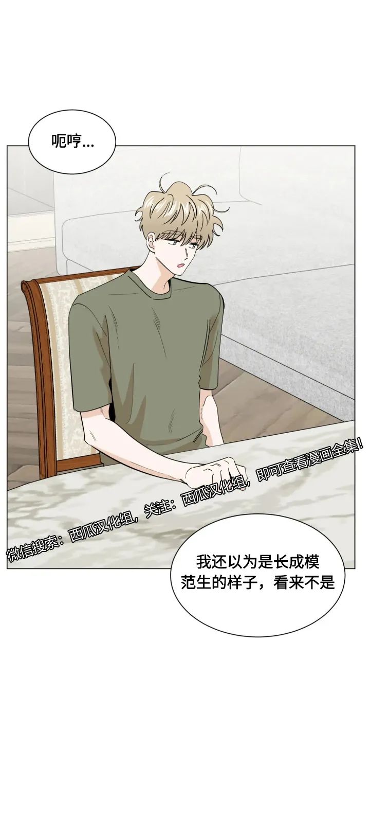 章节图片
