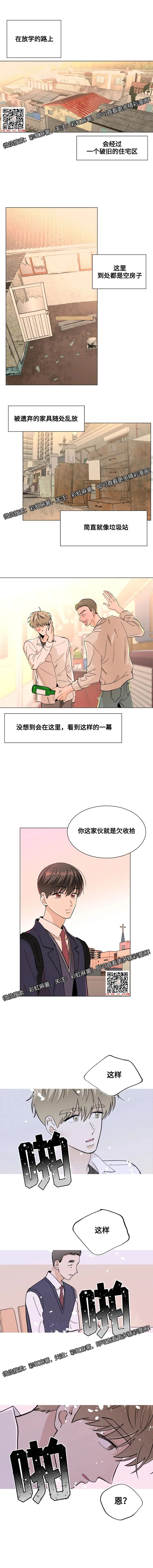 章节图片