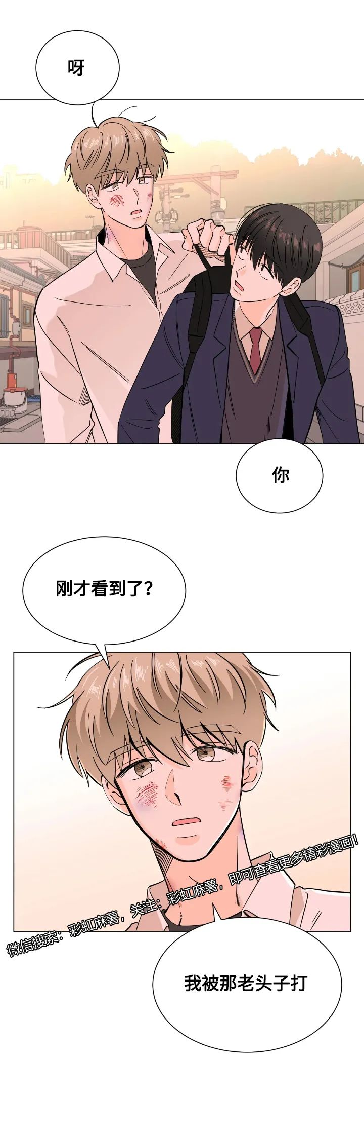 章节图片