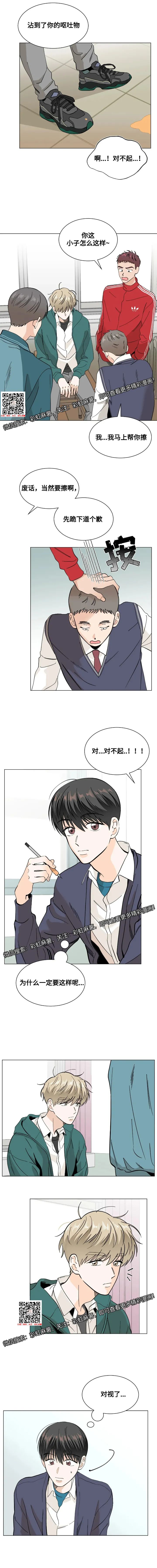 章节图片