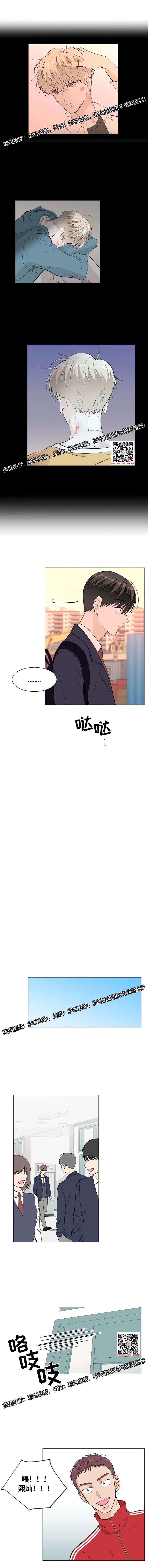 章节图片