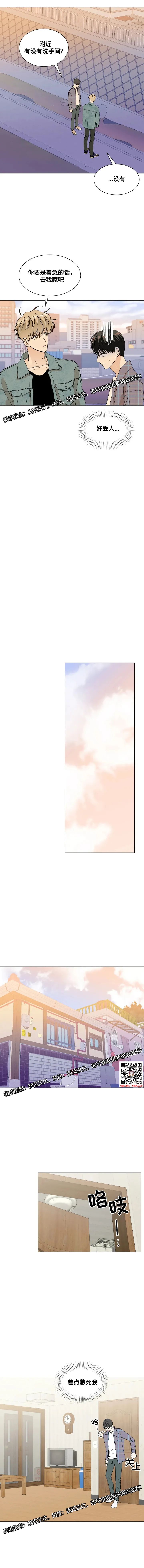 章节图片