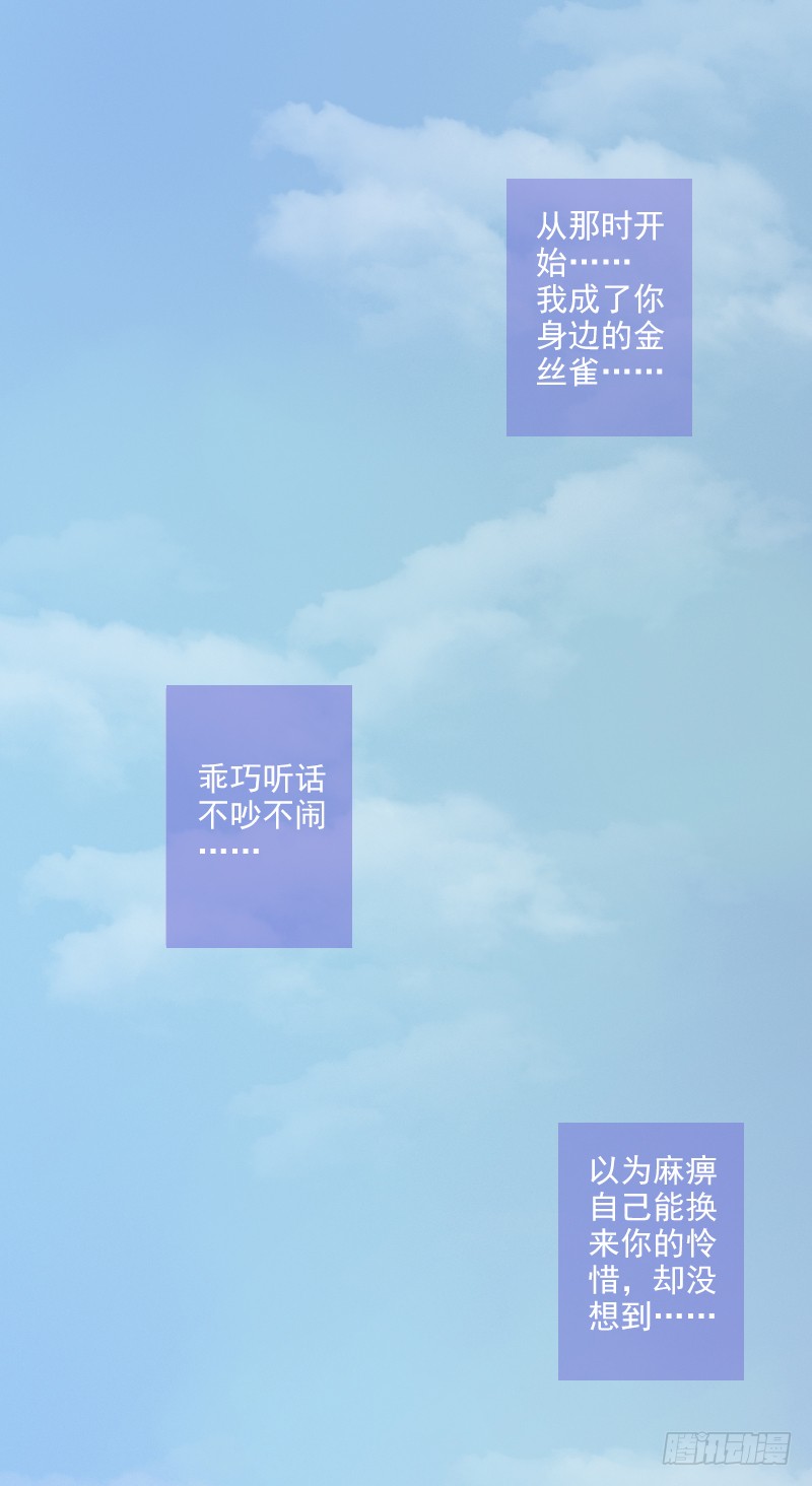 章节图片