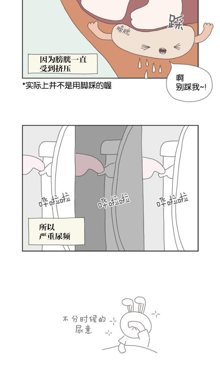 章节图片