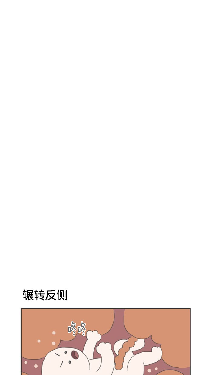 章节图片