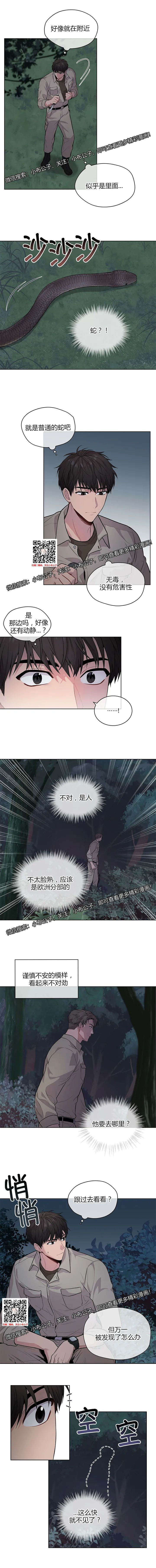 章节图片