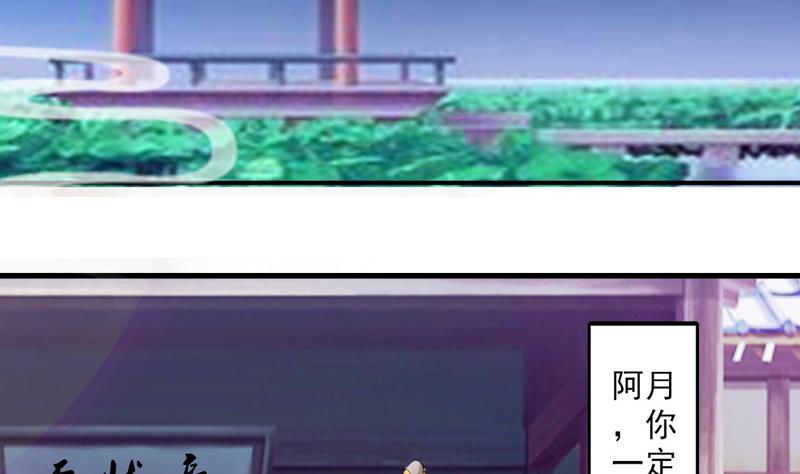 章节图片