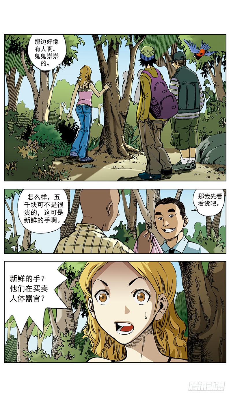 章节图片