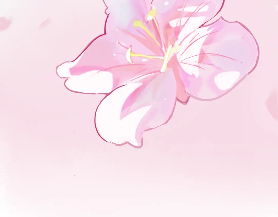 章节图片