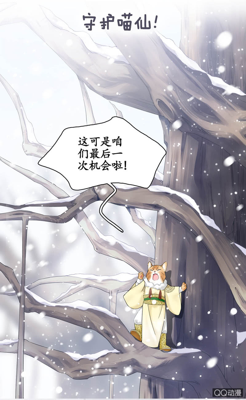 章节图片