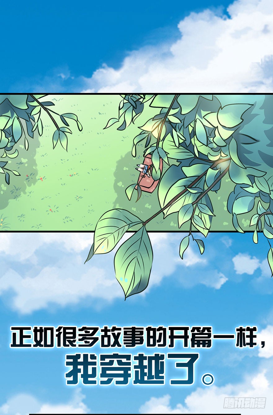 章节图片