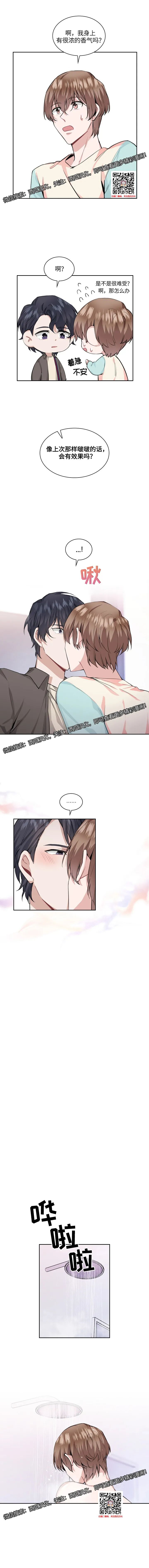 章节图片